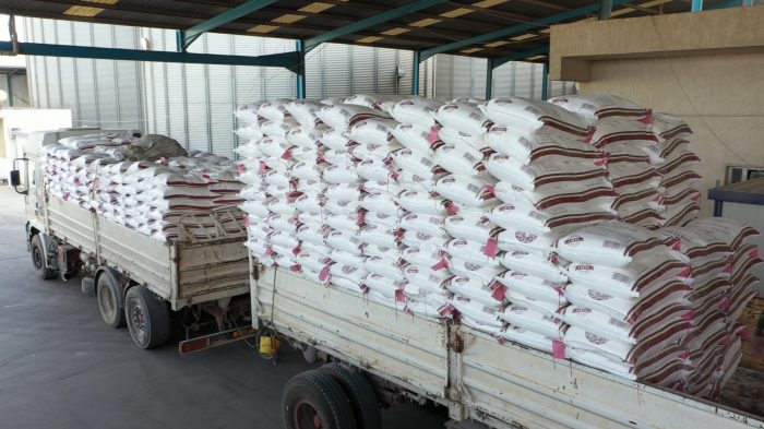 all.00_13_37_35.Still039